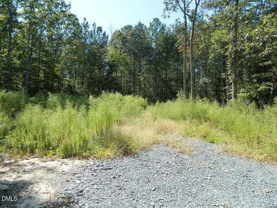 /international/us/3036-bennett-siler-city-road-bennett-nc-110120052954/