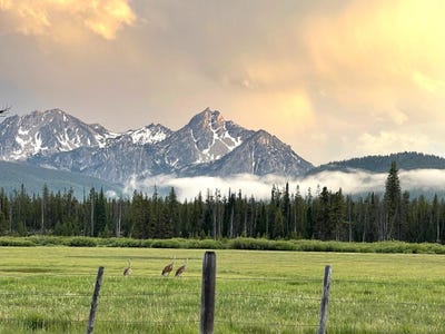 /international/us/highway-21-cow-camp-rd-stanley-id-110092813788/