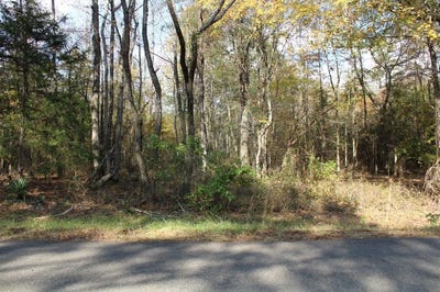 /international/us/0-harris-road-homer-la-110104534831/