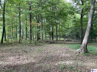 /international/us/1647-boone-hollow-road-battletown-ky-110080502400/