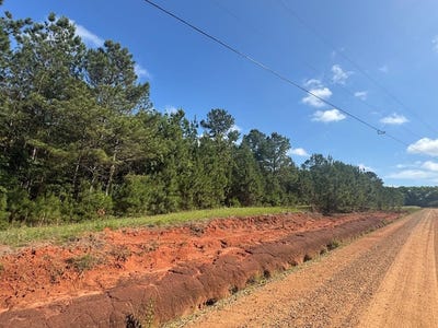 /international/us/tanglewood-trail-lot-3-georgetown-ga-110108357249/