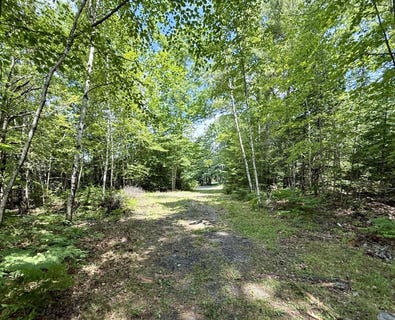 /international/us/481-airline-road-baileyville-me-110100628239/