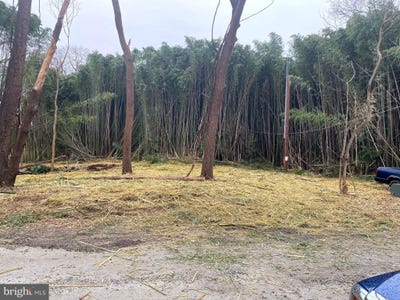 /international/us/ohio-avenue-earleville-md-110105842634/