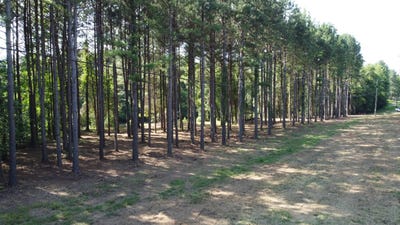 /international/us/1900-highway-23-ozark-ar-110100214386/