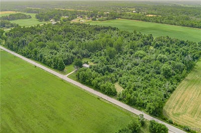 /international/us/v-l-coleman-road-somerset-ny-110101001730/