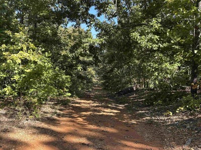 /international/us/1609-old-strawberry-lane-horseshoe-bend-ar-110104867809/