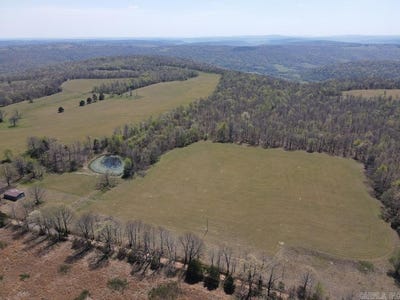 /international/us/liberty-road-leslie-ar-110107881021/