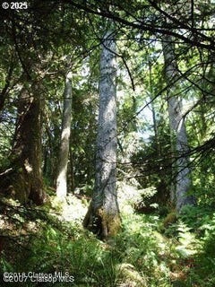 /international/us/birch-st-cannon-beach-or-110097604514/