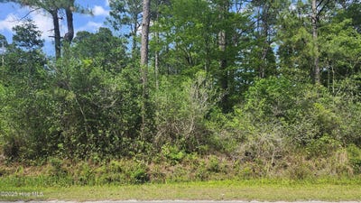 /international/us/lot-143-elm-road-boiling-spring-lakes-nc-110099926007/?lang=zh-cn