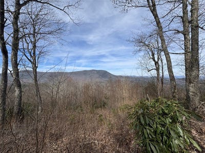 /international/us/l3-windy-gap-lane-sapphire-nc-110099366251/