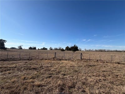 /international/us/legacy-road-lot-25-somerville-tx-110105724395/