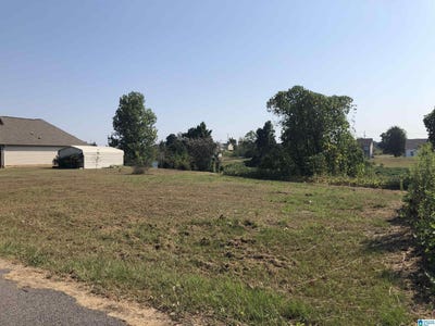 /international/us/525-8th-avenue-lot-1-pleasant-grove-al-110102152376/