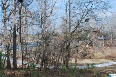 /international/us/county-road-8023-lot-8-acres-lineville-al-110106096633/