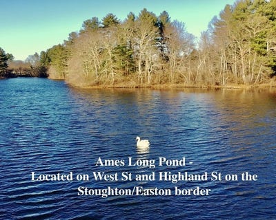 /international/us/93-palisades-cir-stoughton-ma-110103981744/