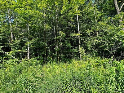 /international/us/1-acre-305th-avenue-holcombe-wi-110101098864/