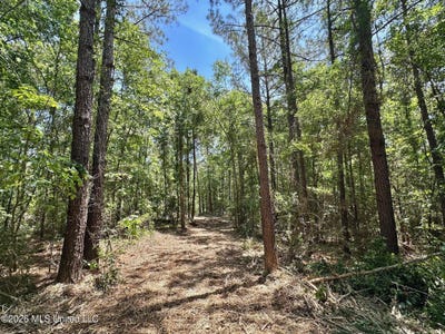 /international/us/2-mcnair-springs-road-magee-ms-110107831817/