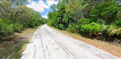 /international/us/11924-w-deodar-street-crystal-river-fl-110108844094/