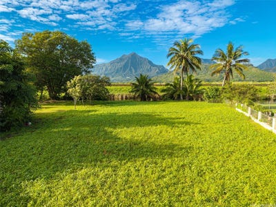 /international/us/221-kihapai-street-kailua-hi-110108478564/