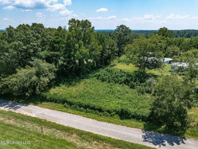 /international/us/county-road-299-louin-ms-110103775407/