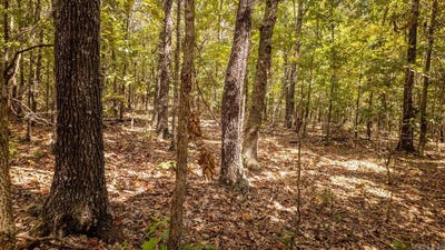/international/us/county-road-9640-koshkonong-mo-110102097323/