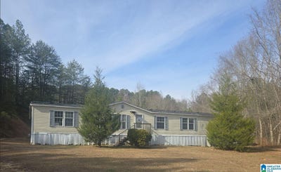 /international/us/3705-cook-springs-road-pell-city-al-110108859347/