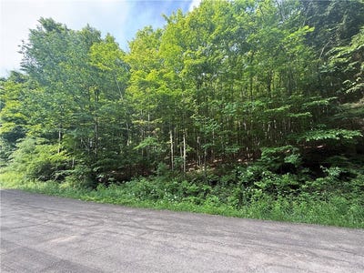/international/us/7420-feather-street-springwater-ny-110100380126/