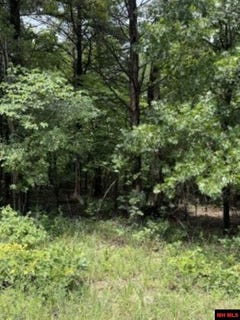 /international/us/hebrides-avenue-lot-61-briarcliff-ar-110108957392/