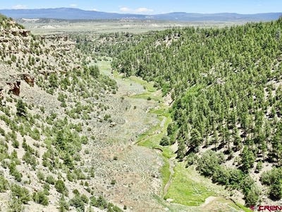 /international/us/955-county-road-303-cebolla-nm-110102982652/