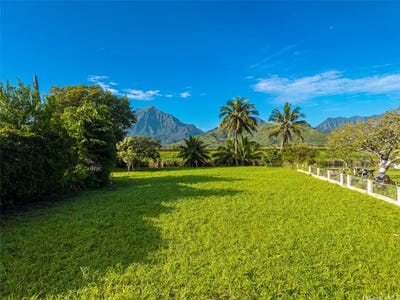 /international/us/221-kihapai-street-kailua-hi-110108478380/
