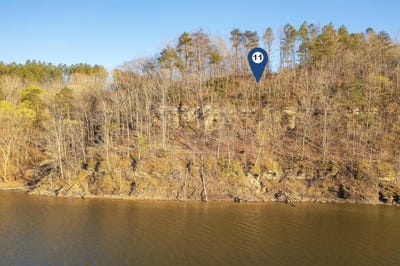 /international/us/lot-11-flat-rock-cove-crane-hill-al-110101065556/