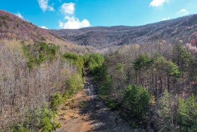 /international/us/0-straight-fork-rd-huntsville-tn-110091339311/