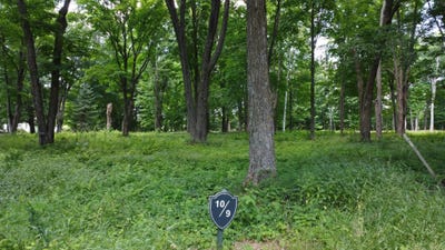 /international/us/lot-9-ackley-landing-antigo-wi-110095717377/?lang=zh-tw