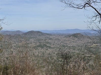 /international/us/l4-windy-gap-lane-sapphire-nc-110099370013/