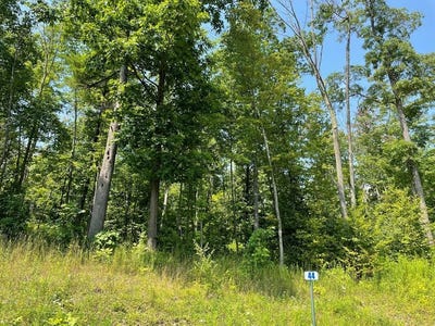 /international/us/hemlock-hills-rd-lot-44a-towanda-pa-110102852072/