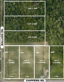 /international/us/ballash-road-lot-1-chippewa-lake-oh-110098048484/?lang=zh-cn