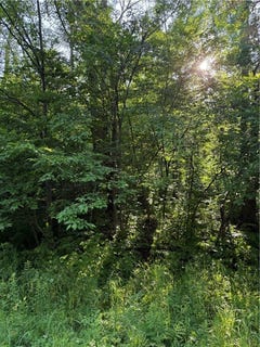 /international/us/0-n-mack-lake-road-trego-wi-110100816273/?lang=en