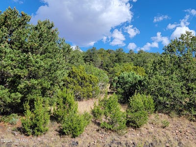 /international/us/lot-10-s-spruce-street-eagar-az-110094987490/