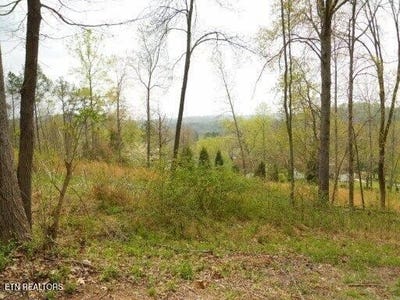 /international/us/vann-drive-harriman-tn-110119525287/