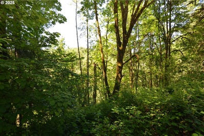 /international/us/2429-archwood-dr-longview-wa-110100529701/
