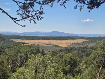 /international/us/unit-4-lot-16-tierra-amarilla-nm-110101139347/?lang=zh-tw