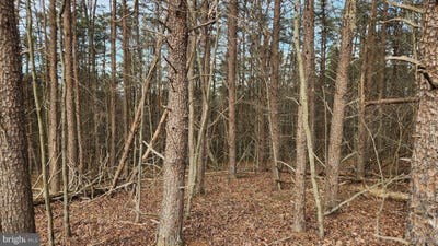 /international/us/11901-price-road-ne-little-orleans-md-110104173908/