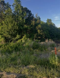 /international/us/parkwood-lot-83-monticello-ar-110108548596/