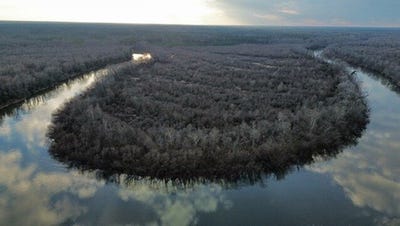 /international/us/0-allison-landing-road-johnsonville-sc-110107080374/