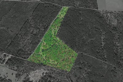 /international/us/1039-flat-road-milam-tx-110106473672/