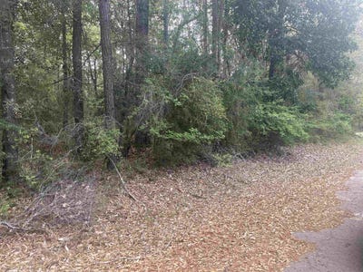 /international/us/chestnut-dr-lot-8-village-mills-tx-110106841008/