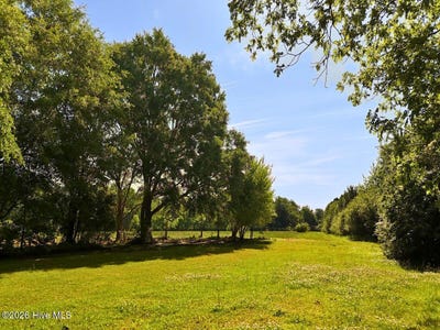 /international/us/old-chinquapin-road-beulaville-nc-110107762183/