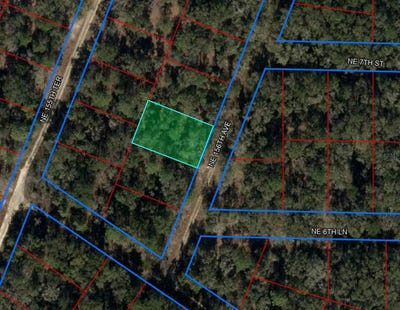 /international/us/000-ne-156th-avenue-williston-fl-110091832602/?lang=zh-cn