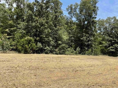 /international/us/lot-073-lakeridge-estates-searcy-ar-110101197827/?lang=zh-tw