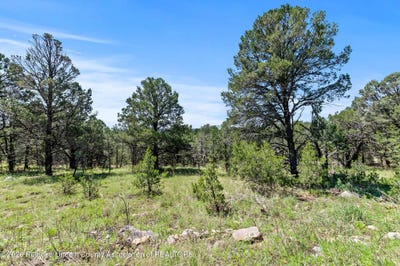 /international/us/121-san-mateo-drive-lot-206-alto-nm-110119995280/