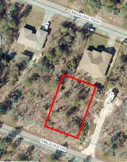 /international/us/00-malauka-drive-ocklawaha-fl-110101218796/